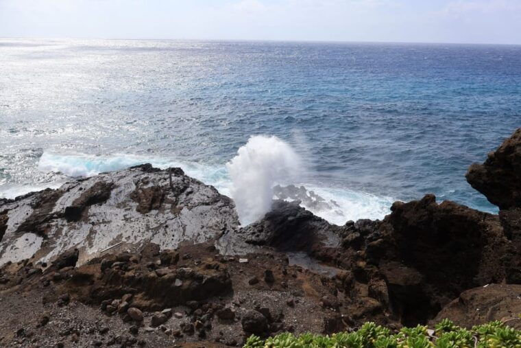honolulu-stunning-views-of-oahu-half-day-scenic-tour
