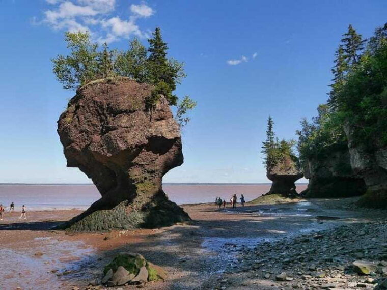 hopewell-cape-hopewell-rocks-admission
