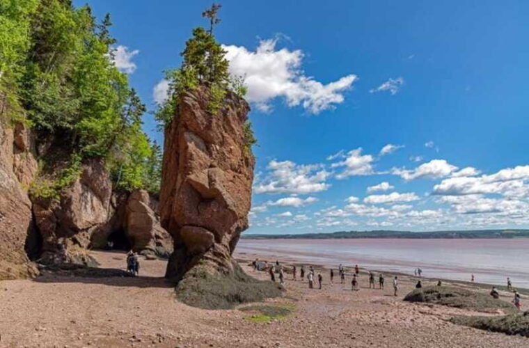 hopewell-rocks-and-fundy-national-park-private-tour