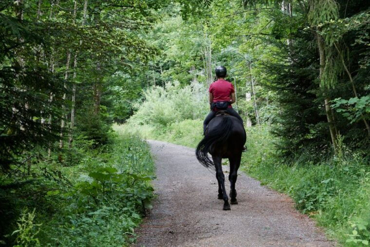 horse-riding-in-nuwara-eliya