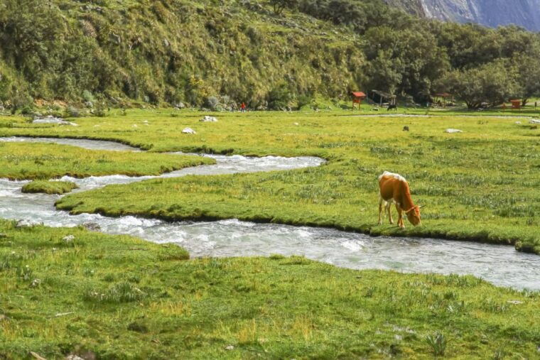 huaraz-3-hour-trek-to-laguna-69-with-optional-lunch