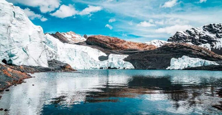 huaraz-nevado-pastoruri-puyas-raymondi-forest