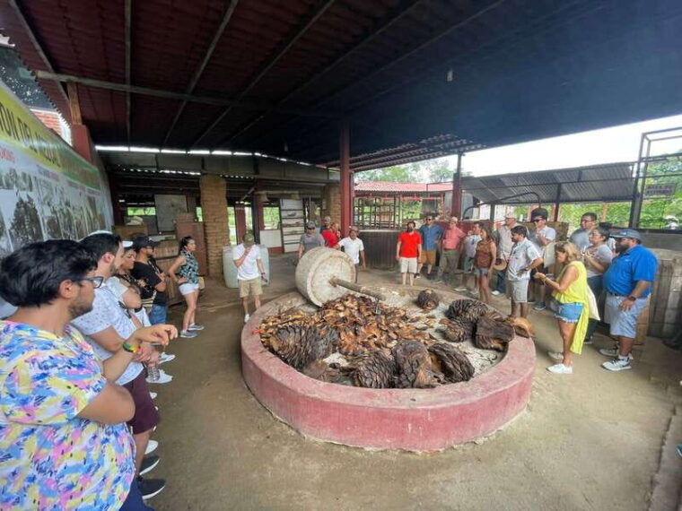 huatulco-mezcal-and-gastronomic-tour
