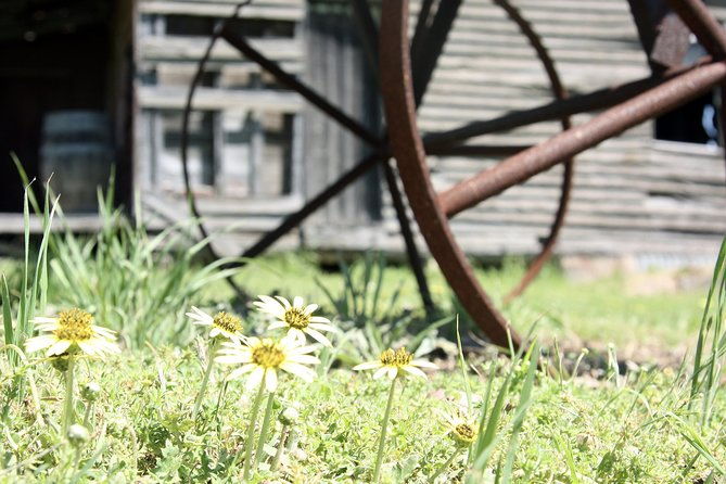 Hunter Valley Private Wine Tasting Tour from Sydney - Scenic Drive Back and End of the Day