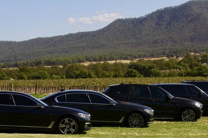 Hunter Valley Wine Country Luxury Tour from Sydney - Who Is This Tour Best For?