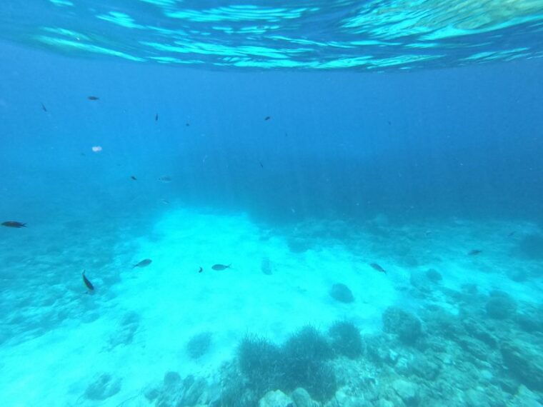 hvar-private-sailing-boat-trip-with-swimming-and-snorkeling