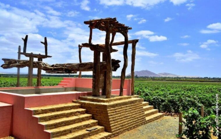ica-pisco-wineries-and-vineyards-day-tour