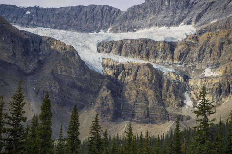 icefield-icefield-parkway-bow-lakes-peyto-lakes-day-tour