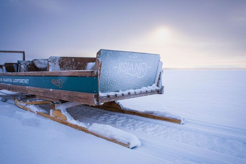 ii-snowmobile-sleigh-trip-on-frozen-sea-under-starlit-sky