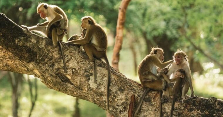in-depth-amazon-experience-4-days-inside-rainforest