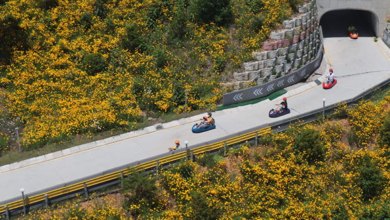 incheon-luge-railbike-gaehangjang-haneul-park
