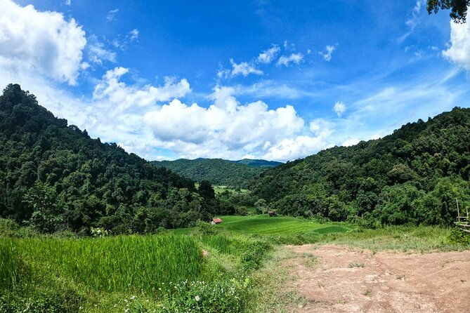 Inthanon National Park Tour with Soft Hike at Pha Dok Siew Trail - What the Reviews Say