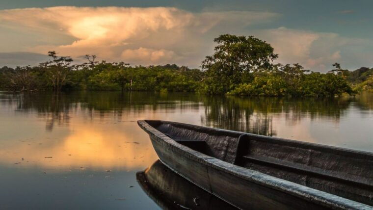 iquitos-2-days-and-1-night-guided-amazon-jungle-tour