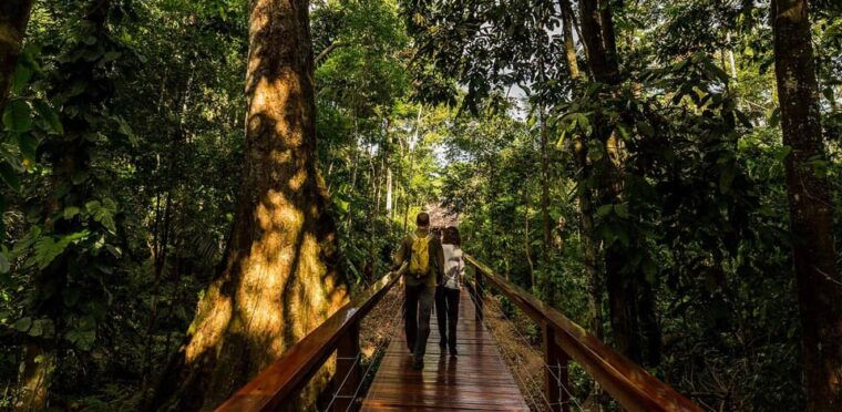 iquitos-pacaya-samiria-4-day-expedition-on-amazon-reserve