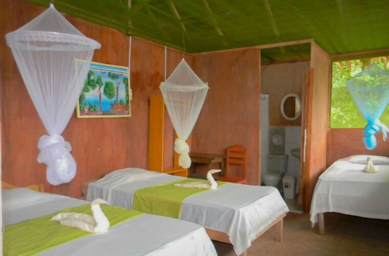 iquitos-to-the-amazon-2-day-jungle-wildlife-experience