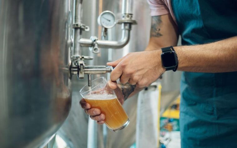 irish-beer-tour-in-dublin-with-guinness-storehouse-tickets