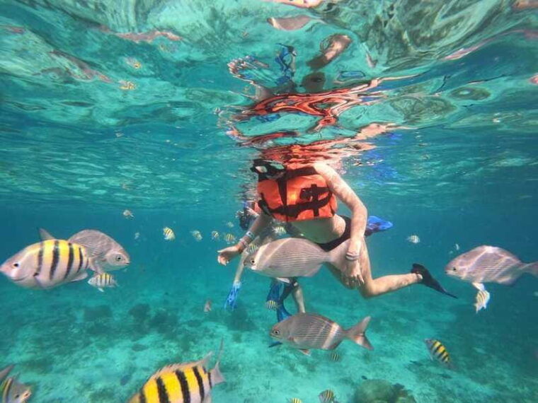 isla-mujeres-snorkeling-adventure-at-the-underwater-museum
