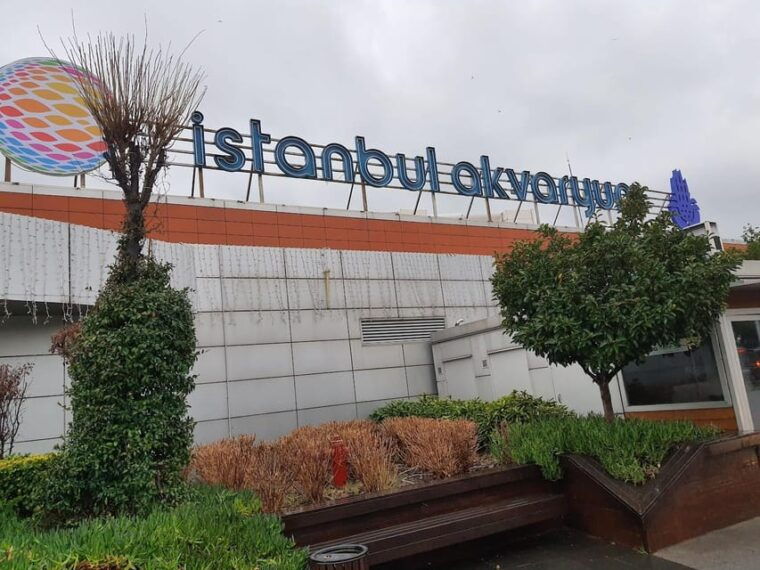 istanbul-aquarium-ticket-and-round-trip-shuttle-from-taksim