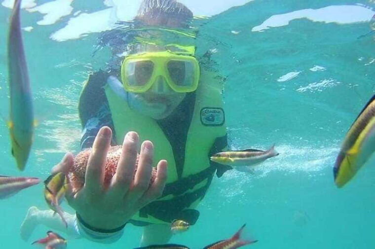 ixtapa-zihuatanejo-las-gatas-beach-tour-with-snorkeling