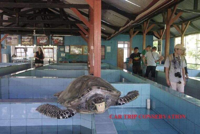 jakarta-private-tour-old-batavia-and-chinatown-nightlife