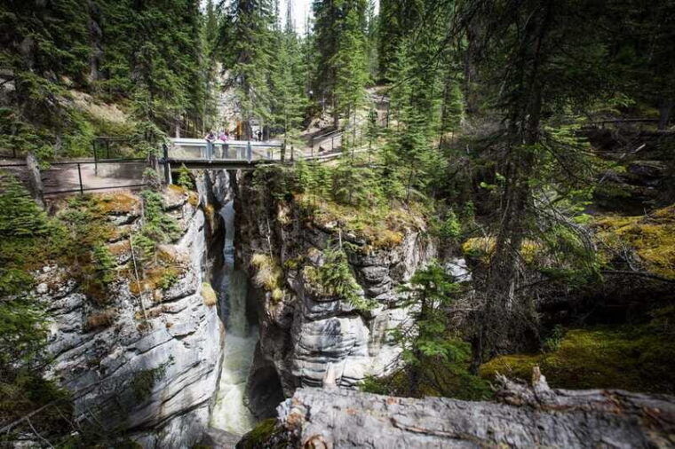 jasper-sightseeing-tour-with-maligne-lake-cruise