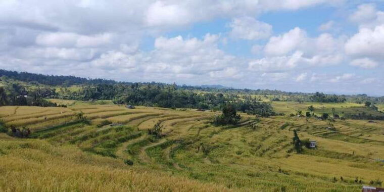 jatiluwih-unesco-site-2-hour-e-bike-cycling-tour