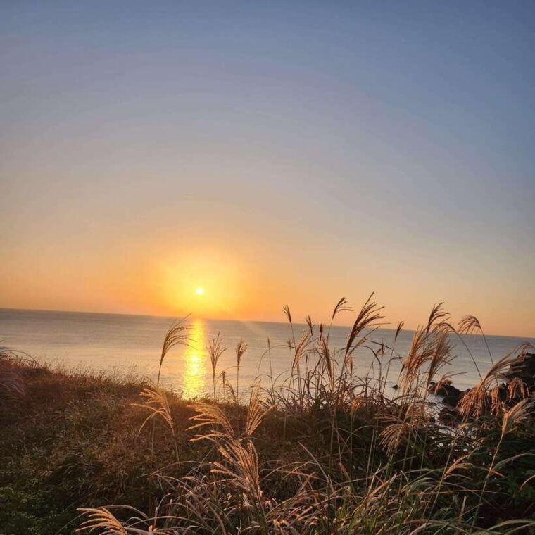 jeju-island-higlights-sunrise-guided-tour