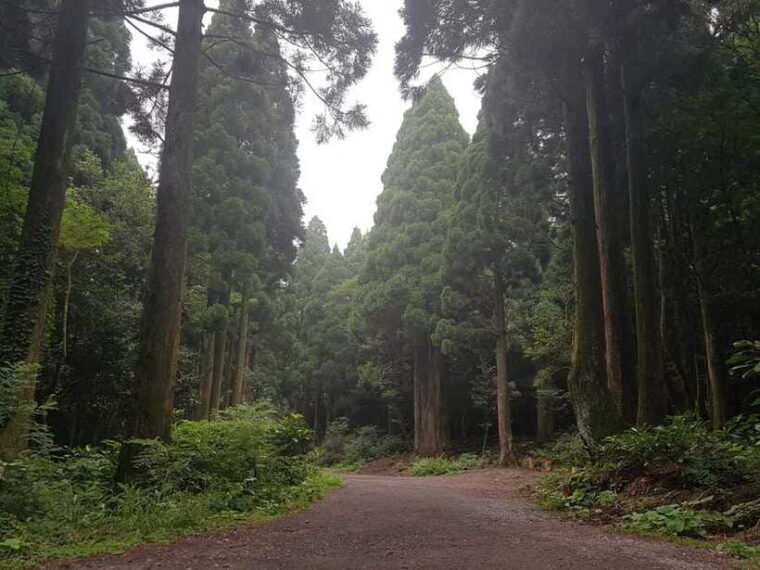 jeju-korean-tv-series-filming-sites-private-day-tour-east
