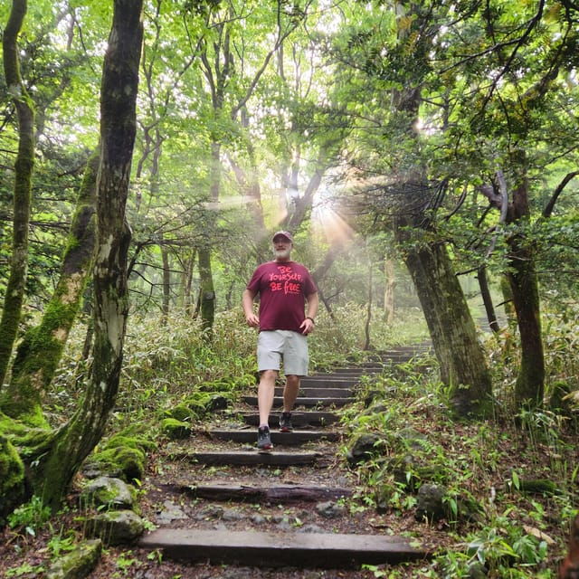 jeju-southern-mt-hallasan-and-unesco-geopark-bus-tour