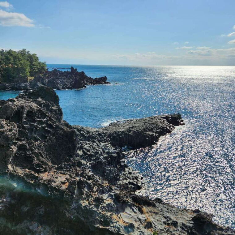 jeju-western-sothern-hydrangea-festival-tour
