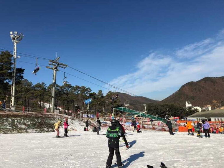 jisan-forest-ski-resort-one-day-tour