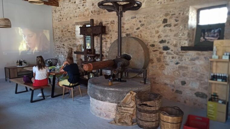 kalamata-the-olive-oil-routes-tour