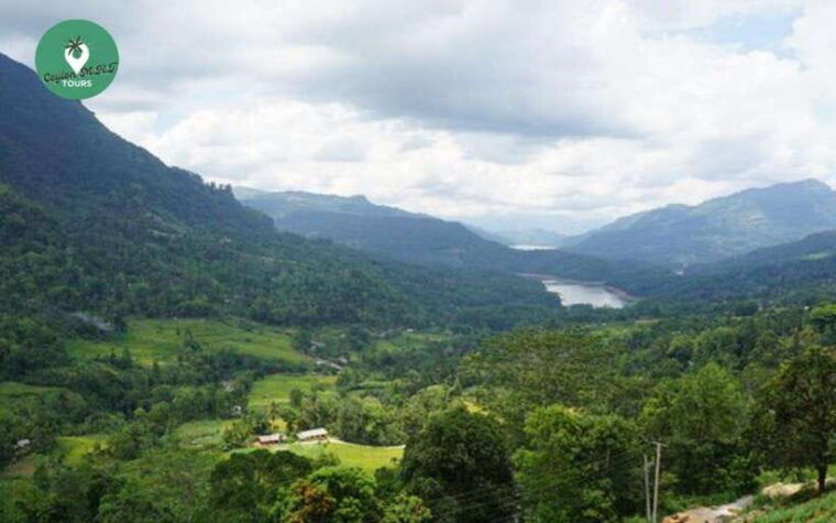 kandy-nuwara-eliya-day-explore-by-tuk-tuk-with-local-guide
