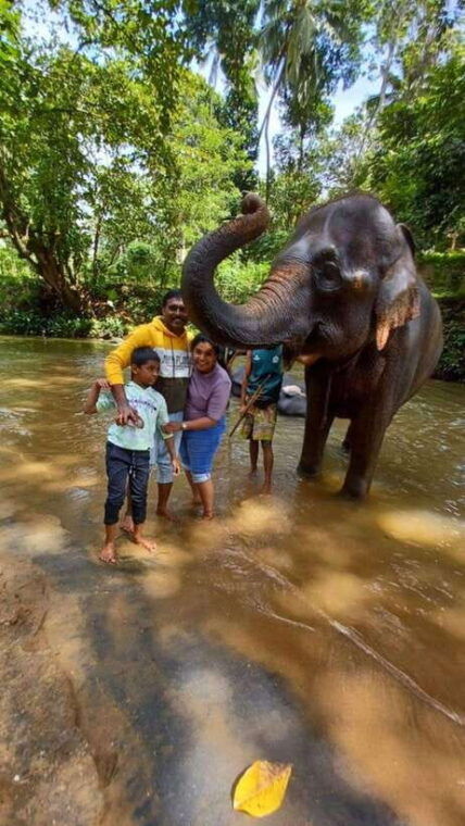 kandy-pinnawala-tea-factory-full-day-tour-from-colombo