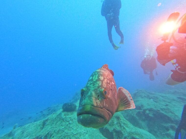 kas-scuba-diving-experience