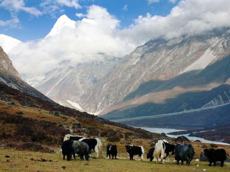 kathmandu-7-days-langtang-valley-trek