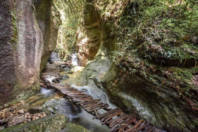 kathmandu-shivapuri-national-park-top-day-hike-with-lunch