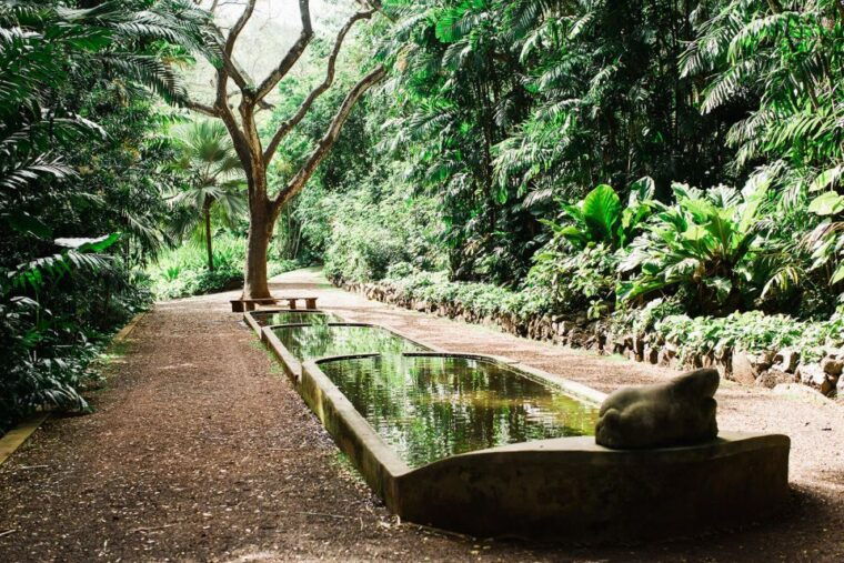 kauai-allerton-garden-guided-group-walking-tour