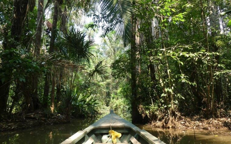 kayak-tour-monkey-island-full-day