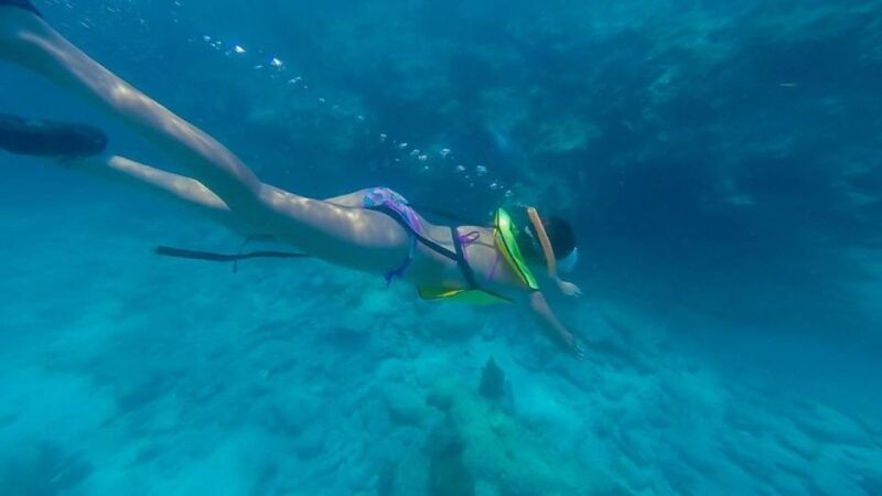 key-west-afternoon-reef-snorkel-tour-with-open-bar