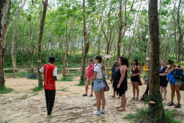 khao-lak-guided-nature-walk-elephant-experience