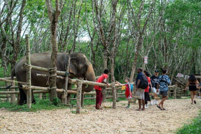khao-lak-multi-adventure-bamboo-rafting-atv-elephants