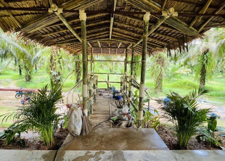 khao-sok-ethical-elephant-sanctuary-visit