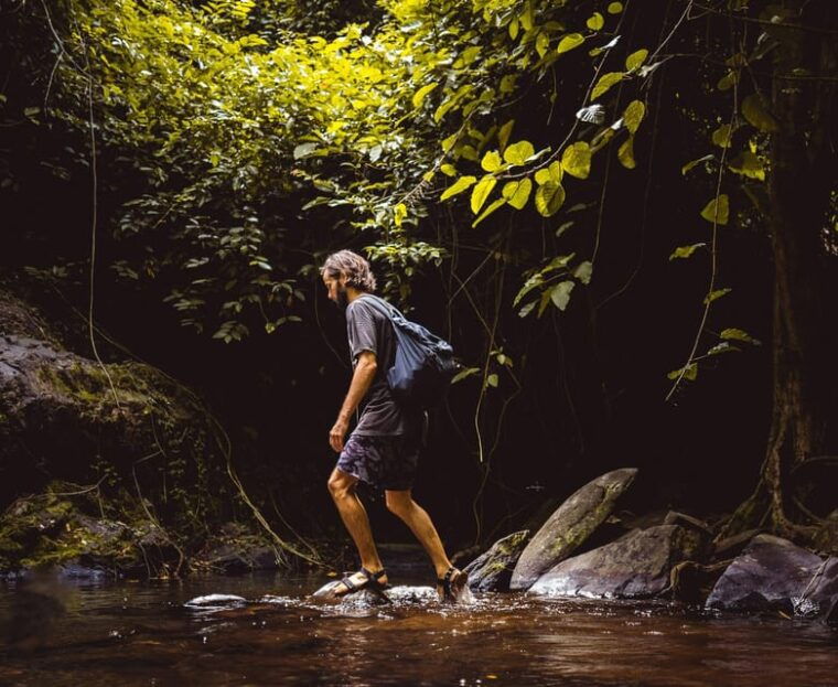 khao-sok-private-day-trekking-jungle-dinner-night-safari