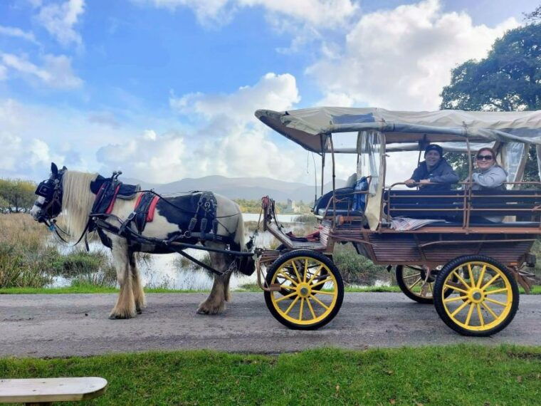 killarney-killarney-national-park-private-tour