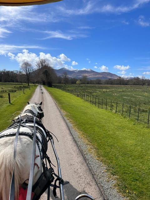 killarney-national-park-tour-2