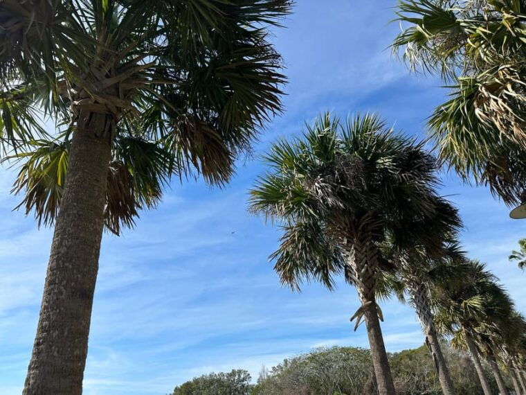 kissimmee-experience-wild-florida-nature-all-electric-trike