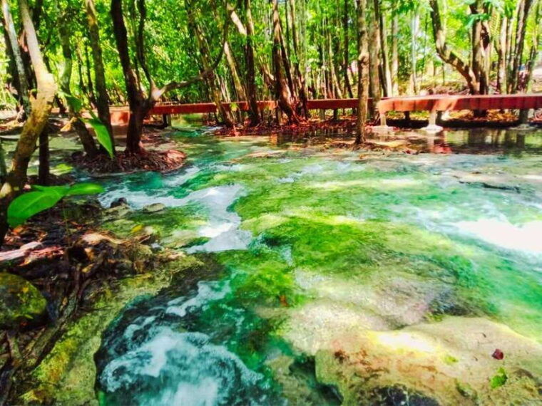 ko-lanta-full-day-emerald-poolhot-spring-with-tiger-temple