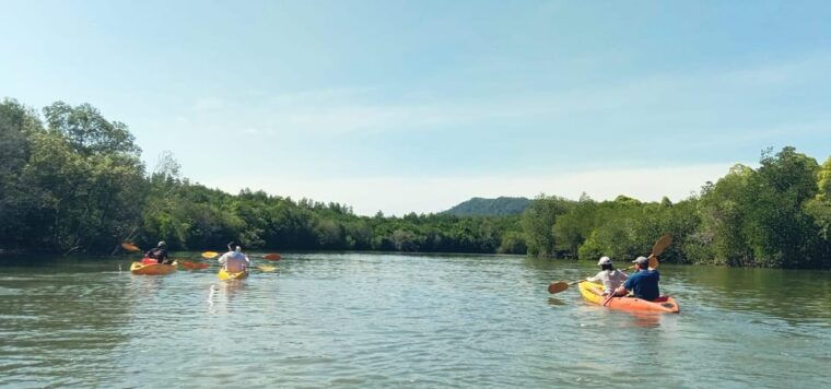 ko-lanta-half-day-mangrove-eco-kayak-experience-with-lunch