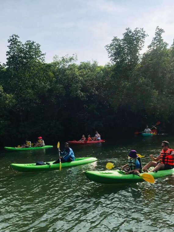 ko-lanta-half-day-mangrove-kayaking-tour-with-lunch